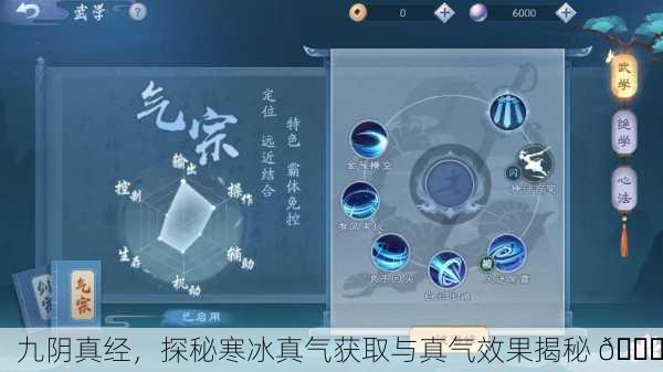 九阴真经，探秘寒冰真气获取与真气效果揭秘 📜