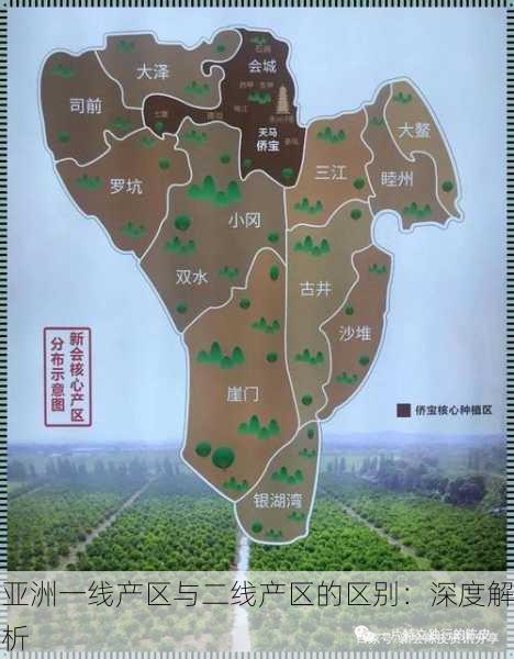 亚洲一线产区与二线产区的区别：深度解析