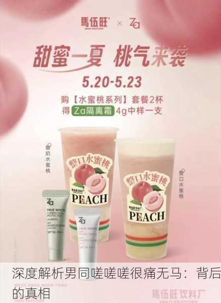深度解析男同嗟嗟嗟很痛无马：背后的真相