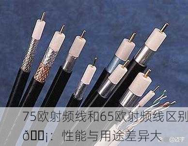 75欧射频线和65欧射频线区别📡：性能与用途差异大
