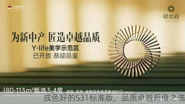 成色好的S31标准版，品质卓越超值之选