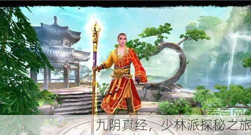 九阴真经，少林派探秘之旅