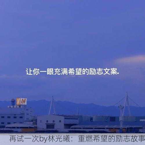 再试一次by林光曦：重燃希望的励志故事