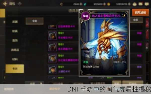 DNF手游中的淘气虎属性揭秘