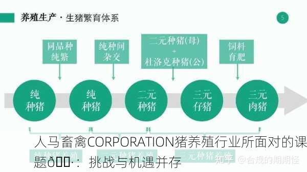人马畜禽CORPORATION猪养殖行业所面对的课题🐷：挑战与机遇并存