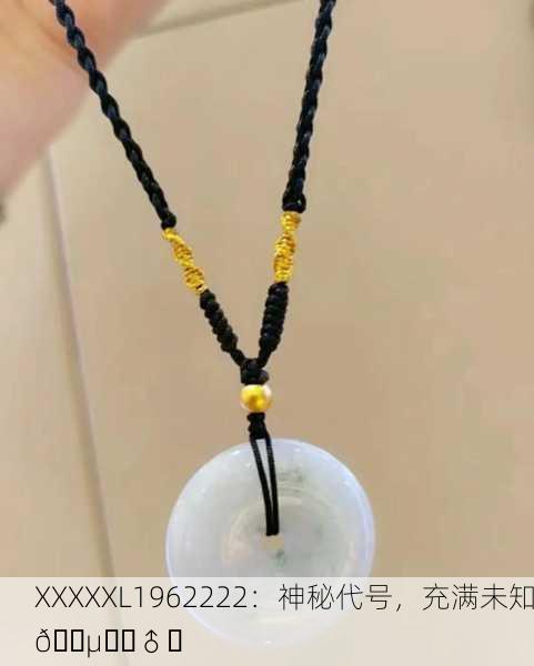 XXXXXL1962222：神秘代号，充满未知🕵️‍♂️