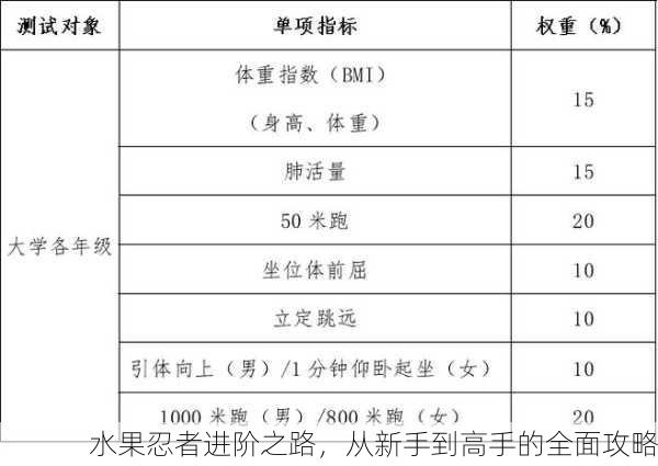 水果忍者进阶之路，从新手到高手的全面攻略