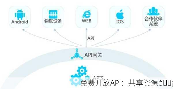 免费开放API：共享资源💡