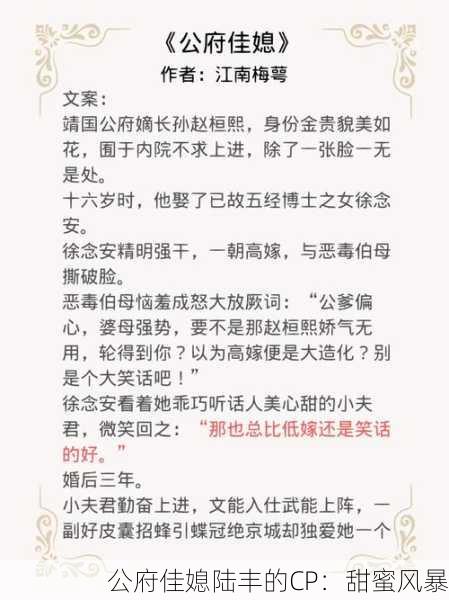 公府佳媳陆丰的CP：甜蜜风暴