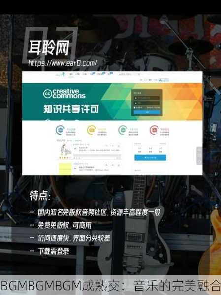 BGMBGMBGM成熟交：音乐的完美融合