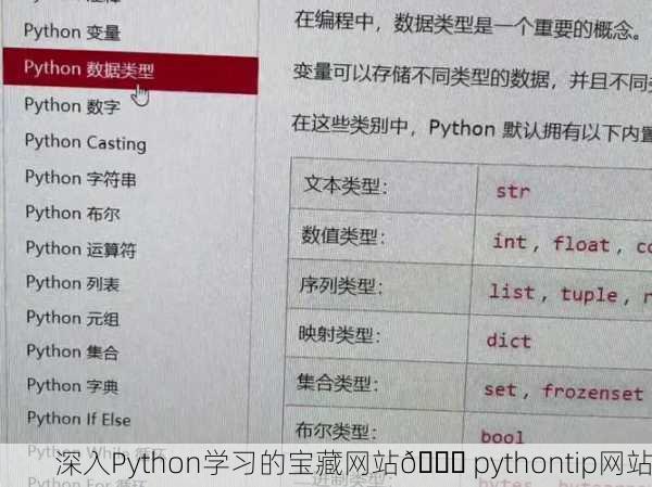 深入Python学习的宝藏网站💎 pythontip网站