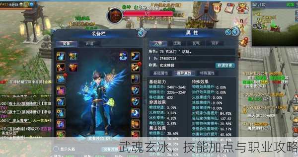 武魂玄冰，技能加点与职业攻略
