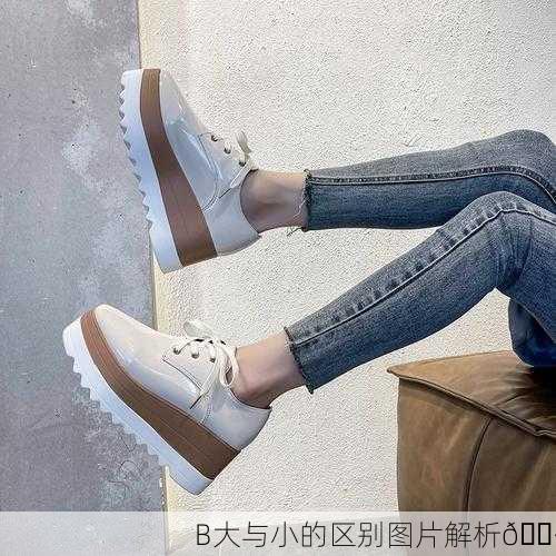 B大与小的区别图片解析📷