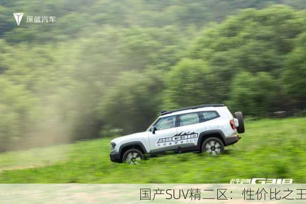 国产SUV精二区：性价比之王