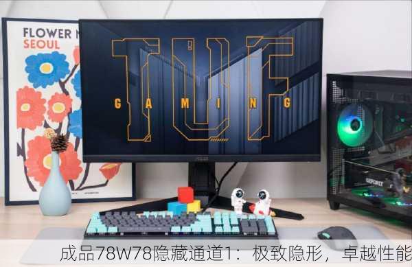 成品78W78隐藏通道1：极致隐形，卓越性能