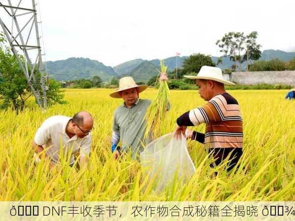 🍀 DNF丰收季节，农作物合成秘籍全揭晓 🌾