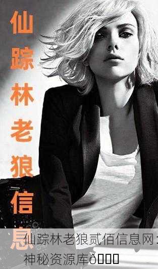仙踪林老狼贰佰信息网：神秘资源库📚