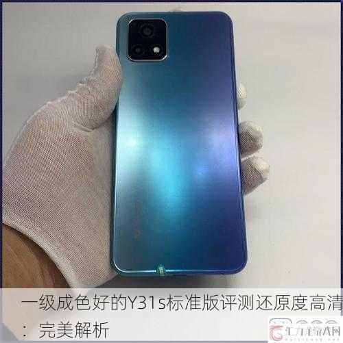 一级成色好的Y31s标准版评测还原度高清：完美解析