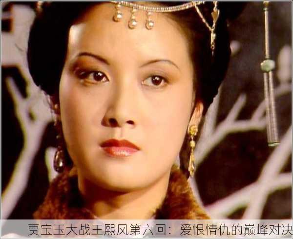 贾宝玉大战王熙凤第六回：爱恨情仇的巅峰对决
