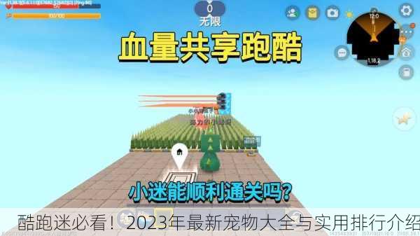 酷跑迷必看！2023年最新宠物大全与实用排行介绍