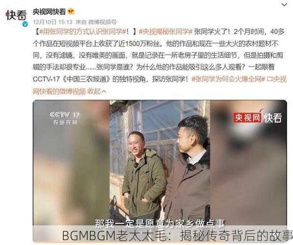 BGMBGM老太太毛：揭秘传奇背后的故事