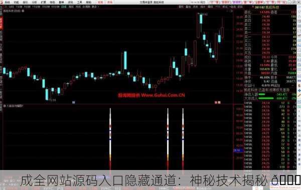 成全网站源码入口隐藏通道：神秘技术揭秘 🚀