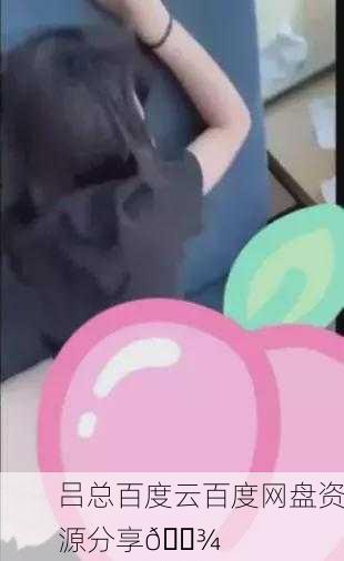吕总百度云百度网盘资源分享💾