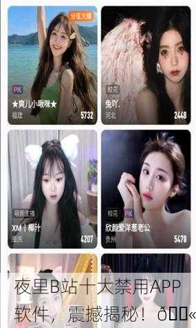 夜里B站十大禁用APP软件，震撼揭秘！🚫