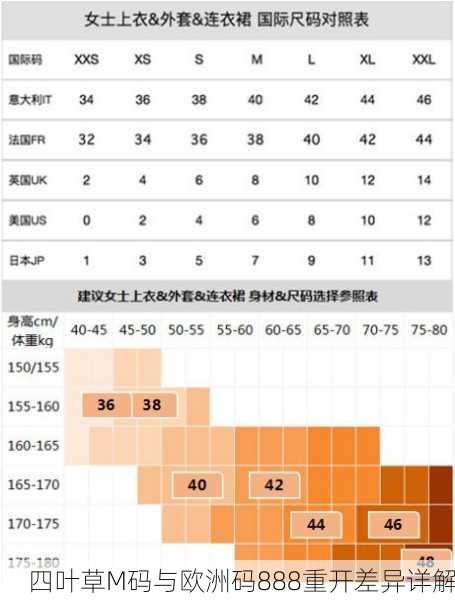 四叶草M码与欧洲码888重开差异详解