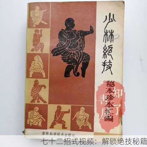七十二招式视频：解锁绝技秘籍