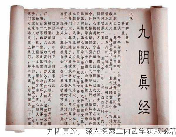 九阴真经，深入探索二内武学获取秘籍