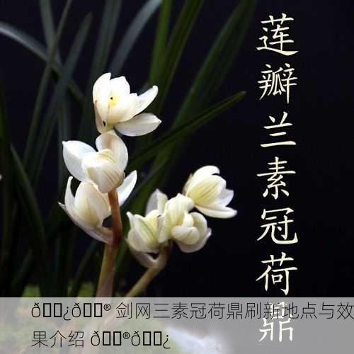 🌿🎮 剑网三素冠荷鼎刷新地点与效果介绍 🎮🌿