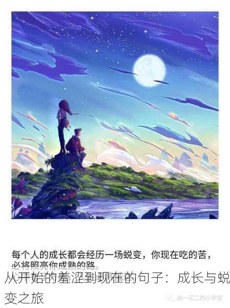 从开始的羞涩到现在的句子：成长与蜕变之旅