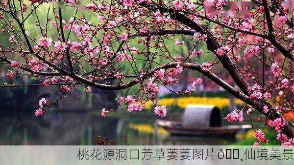 桃花源洞口芳草萋萋图片🌸仙境美景