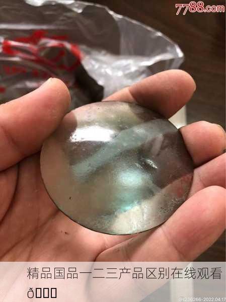 精品国品一二三产品区别在线观看 🔍