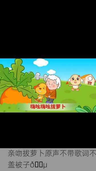 亲吻拔萝卜原声不带歌词不盖被子🎵