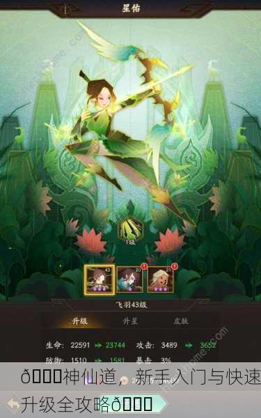 🌈神仙道，新手入门与快速升级全攻略🔝