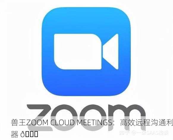 兽王ZOOM CLOUD MEETINGS：高效远程沟通利器 🚀