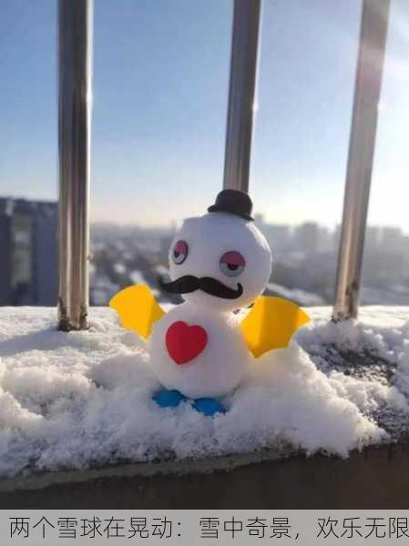 两个雪球在晃动：雪中奇景，欢乐无限