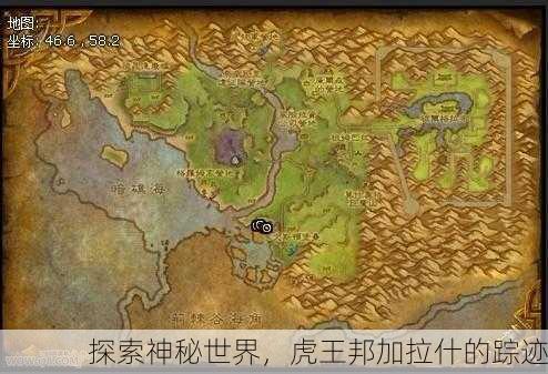 探索神秘世界，虎王邦加拉什的踪迹