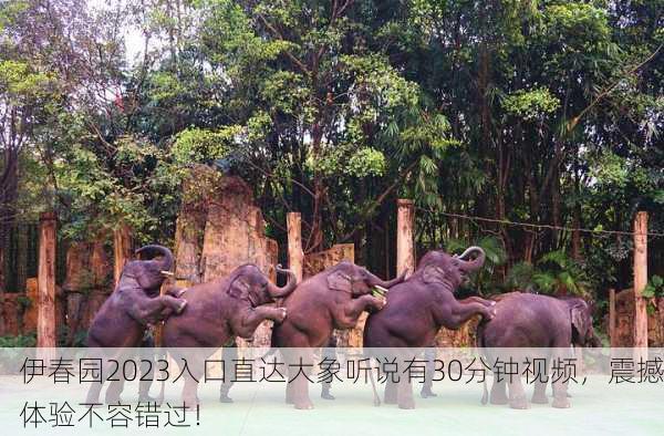 伊春园2023入口直达大象听说有30分钟视频，震撼体验不容错过！