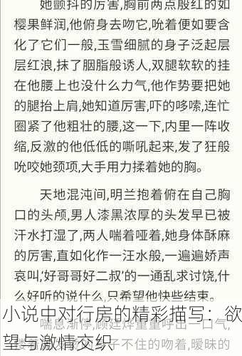 小说中对行房的精彩描写：欲望与激情交织