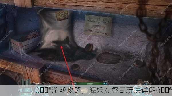 🎮游戏攻略，海妖女祭司玩法详解🔮