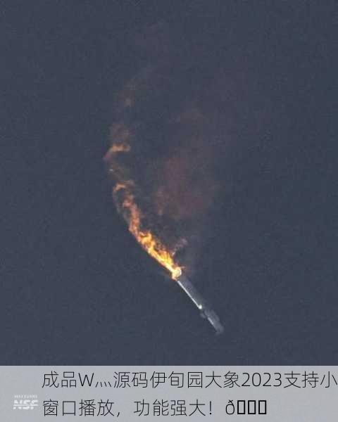 成品W灬源码伊旬园大象2023支持小窗口播放，功能强大！🚀