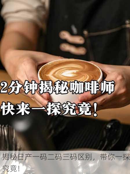 揭秘日产一码二码三码区别，带你一探究竟！