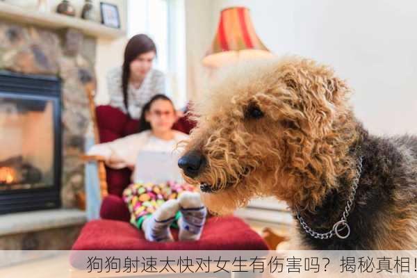 狗狗射速太快对女生有伤害吗？揭秘真相！