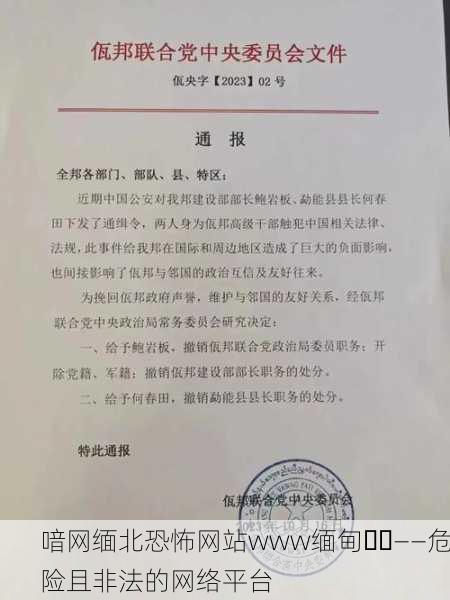 喑网缅北恐怖网站www缅甸⚠️——危险且非法的网络平台