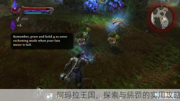 阿玛拉王国，探索与惩罚的实用攻略