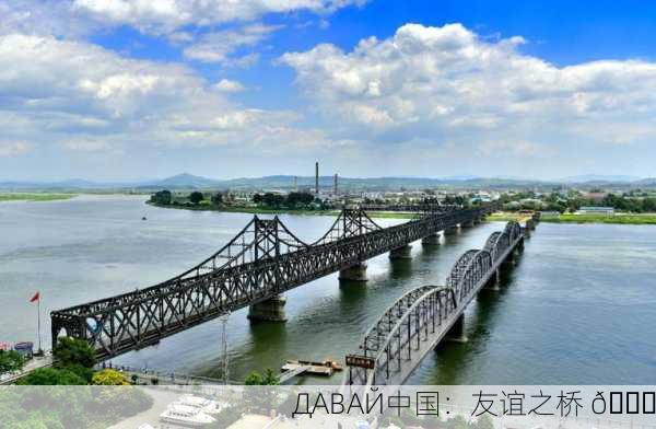 ДАВАЙ中国：友谊之桥 🌉
