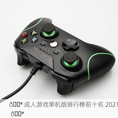 🎮 成人游戏单机版排行榜前十名 2021 🎮